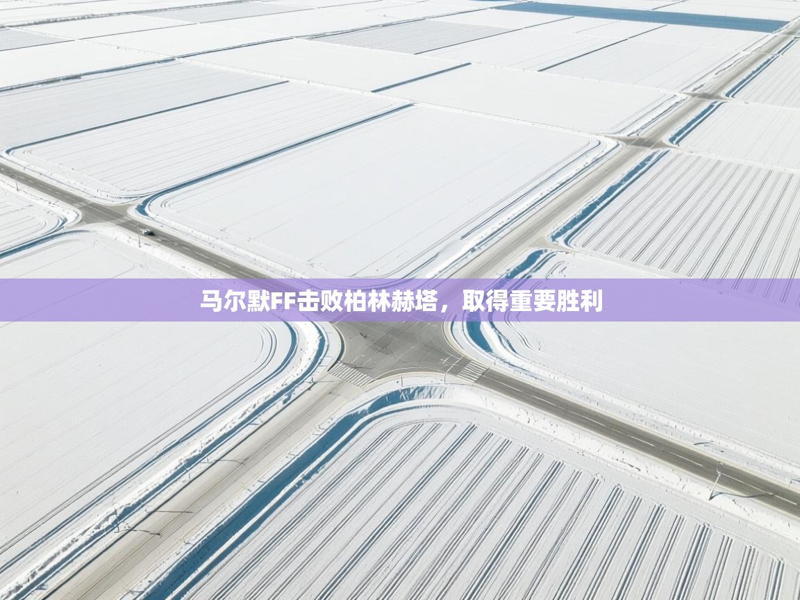 马尔默FF击败柏林赫塔，取得重要胜利  第2张