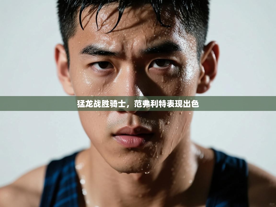 猛龙战胜骑士，范弗利特表现出色