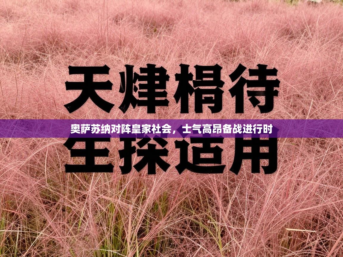 奥萨苏纳对阵皇家社会，士气高昂备战进行时