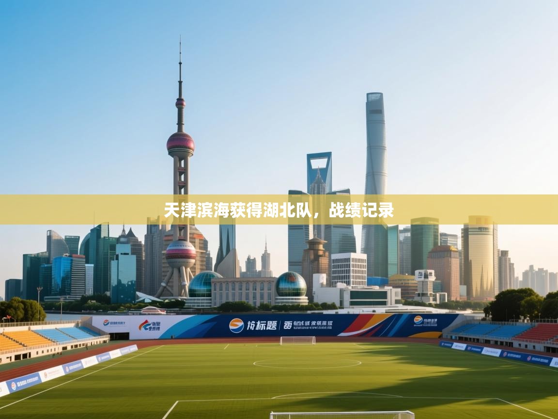 天津滨海获得湖北队，战绩记录